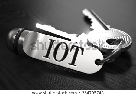 Сток-фото: Iot Concept Keys With Keyring