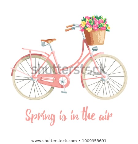 Foto stock: Woman Riding On Vintage Bicycle With Basket