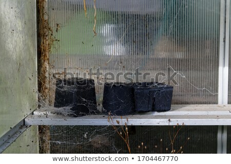 Stockfoto: En · kas · schoonmaken