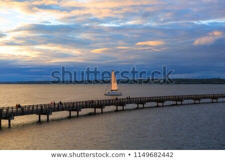 Foto d'archivio: Sailing On Bellingham Bay During Sunset