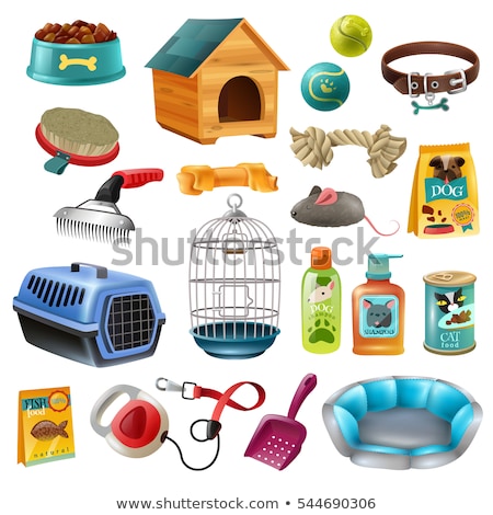 商業照片: Vector Set Of Dog Accessories