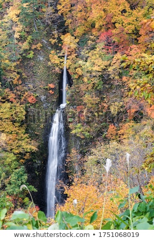 Tsumijikura Taki Waterfall Fukushima Stok fotoğraf © vichie81