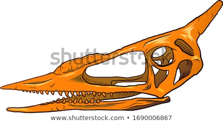 Foto stock: Hand Drawn Hunter Skull