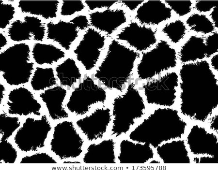 Stockfoto: Giraffe Animal Skin Texture Animal Background Tribal Ornament Vector Illustration