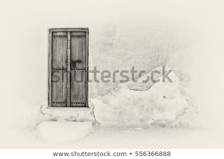 Stock foto: Old Door And Stone Steps