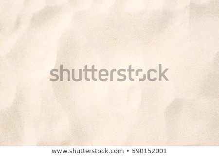 Stock photo: Desert Sand Pattern Texture Background From The Sand In The Dune