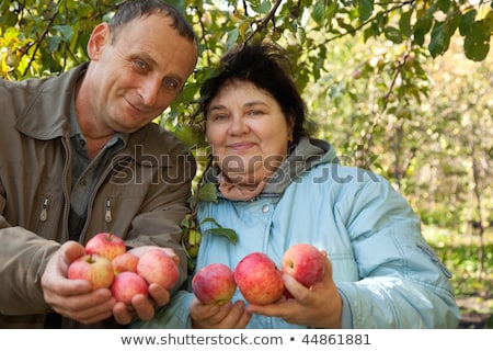 Stock fotó: özépsúlyú · férfi · és · nő · kinyújtja · a · kezét · almával