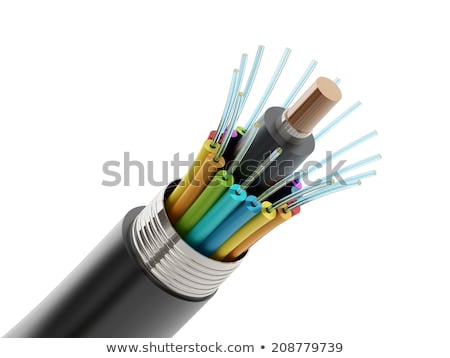 Stock fotó: Fiber Optic Cable Detail Isolated On White