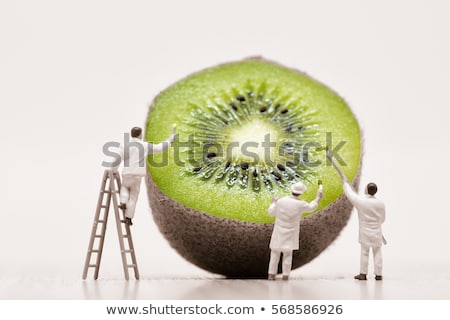 Stock fotó: Miniature Painters Coloring Kiwi Slices Macro Photo