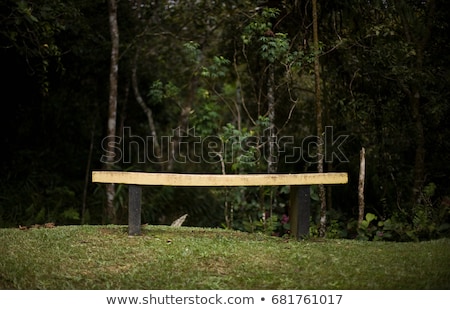 Stockfoto: Yellow Bench In Forest Mt Kinabalu Malaysia