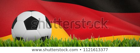 [[stock_photo]]: Black And White Football Against Close Up Of Grass Mat