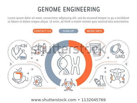 Foto stock: Genetically Modified Organism Concept Landing Page
