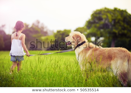 Stok fotoğraf: Animal Playing In The Park