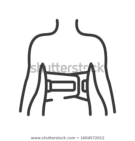 Foto stock: Orthopedic Belt For Spine Back Support Vector Icon