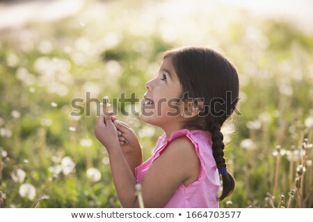 [[stock_photo]]: Girl Looking At Sunflower