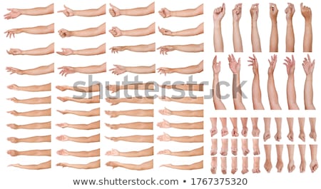 ストックフォト: Male Hand Isolated On White Background Showing One Finger