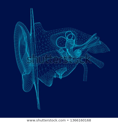 Foto stock: Ear 3d