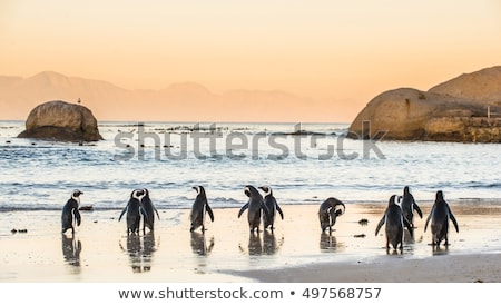 Foto stock: Cape Town Atlantic Coast