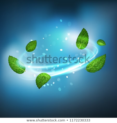 Stockfoto: Fresh Mint