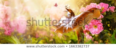 Сток-фото: Beautiful Butterfly Sitting On A Woman Dress