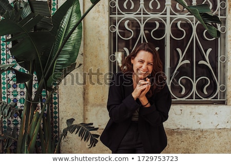 Stock photo: Portuguese Windows