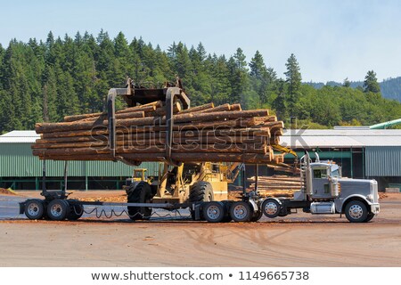 Stok fotoğraf: Logs Unloading Off Truck In Lumber Yard