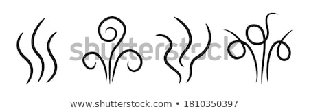 Stock photo: Smoke Fire Evaporating Water Silhouette Vector Illustration Isolated On White Background