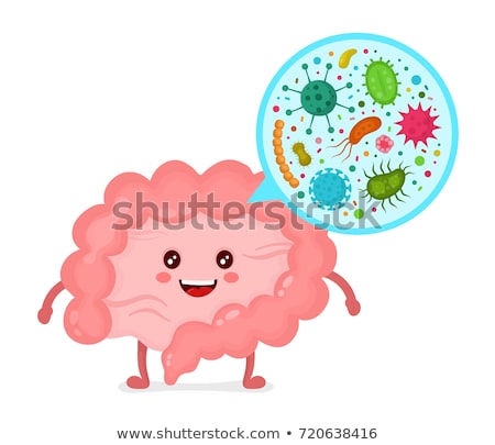 Foto stock: Gut Bacteria Digestive Probiotic Flora Cartoon