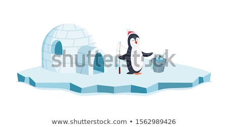 Zdjęcia stock: Penguins In The Igloo