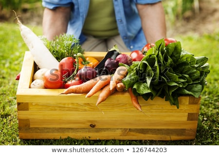 Сток-фото: Fresh Farmers Garden Vegetables And Herbs