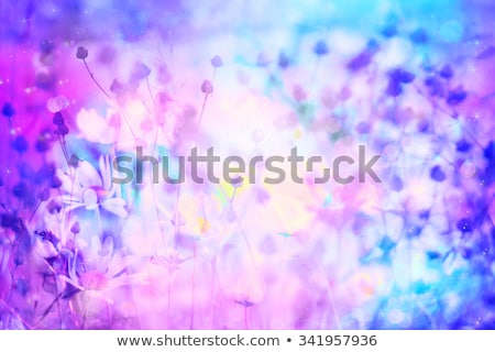 Dreamy Beautiful Floral Background With Bokeh Lights ストックフォト © Julietphotography