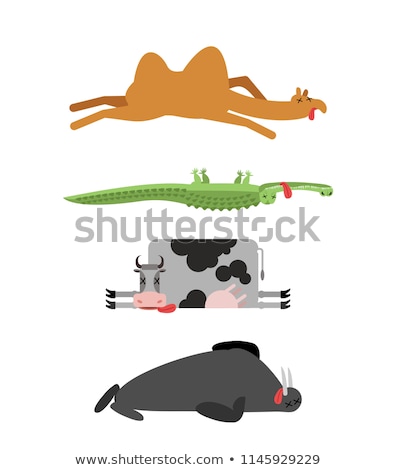 Stock photo: Dead Camel Animal Desert Dead Corpse Of Beast