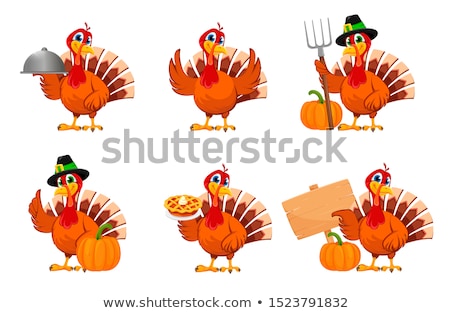 ストックフォト: Thanks Giving Turkey White Background