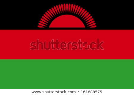 Stock photo: Malawi Flag Vector Illustration