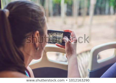 ストックフォト: Tourists Watch The Animals From The Bus In The Safari Park