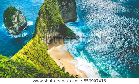 Stockfoto: Manta Bay Or Kelingking Beach On Nusa Penida Island Bali Indonesia