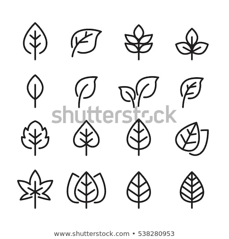 Stock photo: Icon Leaf