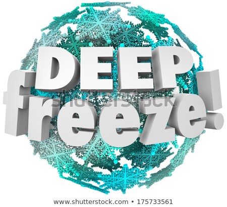 Deep Freeze Winter Weather Blizzard Storm Snowflake Sphere Stock photo © iQoncept