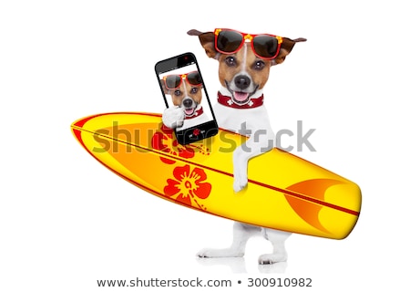 Сток-фото: Surfing Dog Selfie