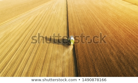 [[stock_photo]]: Wheat Crops In Agricultural Field