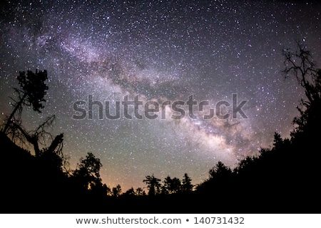 Foto stock: The Milky Way And Some Trees In Mountains