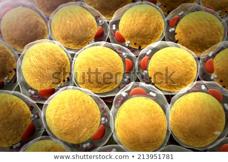 Foto stock: The Virus In The Body In The Macro Scale 3d Rendering