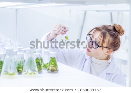 Stok fotoğraf: Scientists Studying Growth Of Seedling