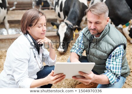 Foto stock: Young Confident Worker Of Farmhouse Making Presentation To Veterinarian
