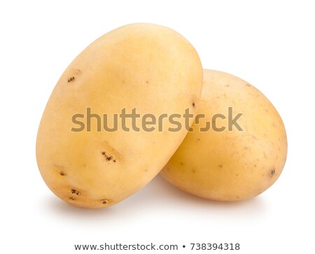 [[stock_photo]]: Yellow Potato Group