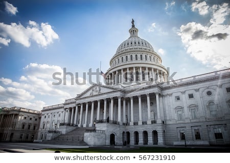 Zdjęcia stock: United States Capitol Building In Washington Dc With American Flag