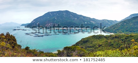 Stock photo: Power Station And Mountain Landscape In Hong Kong