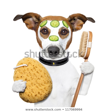 Stock foto: Wellness Spa Wash Sponge Dog