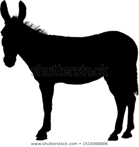 Stok fotoğraf: Democrat Donkey Galloping