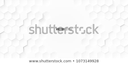 Сток-фото: White Honeycomb